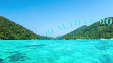 animasyon video içeriği ve grafik tasarımları