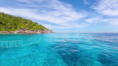 animasyon video içeriği ve grafik tasarımları