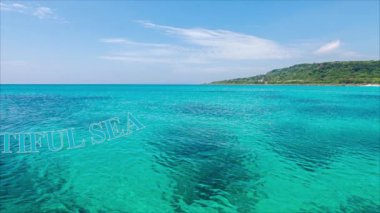 animasyon video içeriği ve grafik tasarımları