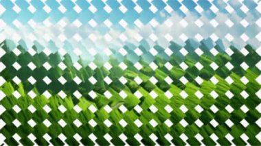 animasyon karoları içerik ve grafik tasarımları