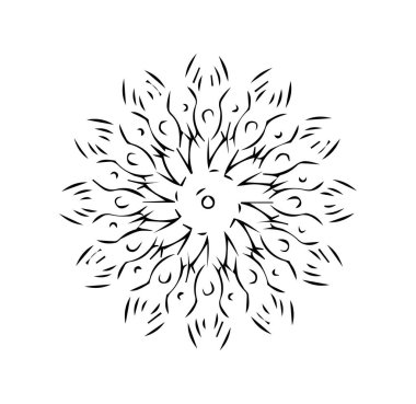 Güzel çiçek sanatı ve mandala çiçek tasarımı