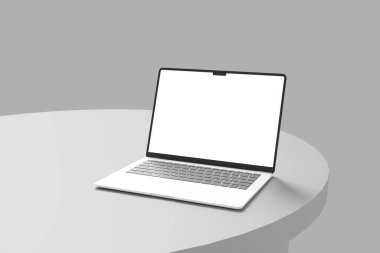 Dizaynınızı istemcilere göstermek için basit bir dizüstü bilgisayarı.