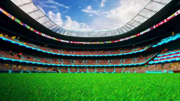 Flying Grass Stadium Filmmateriaal Voor Fifa World Cups Cinematic Voetbal — Stockvideo