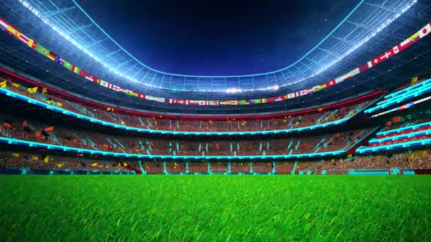 スタジアムナイトで草の上を飛ぶことは Fifaワールドカップのための映画やサッカーでの映画です シーンやタイトル ロゴのための良い背景 — ストック動画