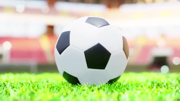 Football Grass Spor Kupaları Futbol Sahnelerinde Sinema Için Kullanılan Hareketli — Stok video