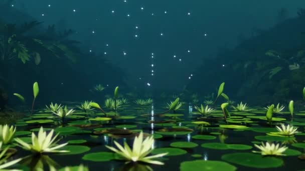 Water Lotus Lake Filmmateriaal Voor Seizoensfilms Films Natuur Ook Goede — Stockvideo