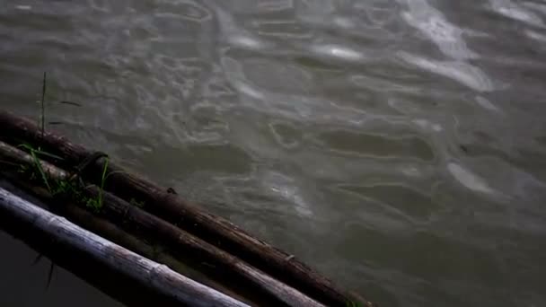 Nehirdeki Bambu Dalgası Koruması — Stok video