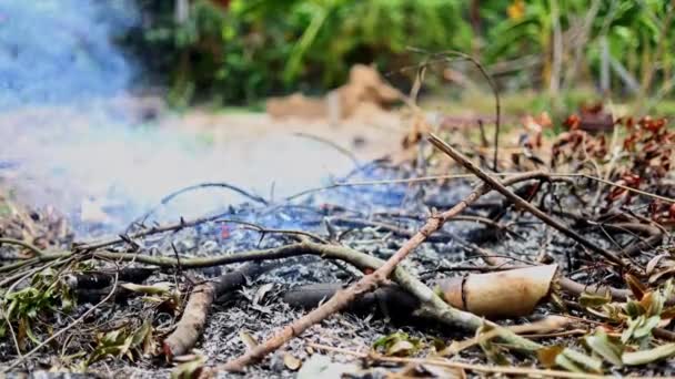 Dym Palił Się Ogrodzie — Wideo stockowe