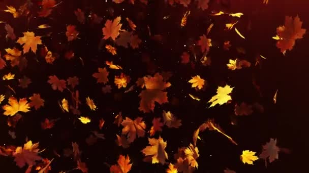 Akçaağaç Yaprakları Mevsimlik Filmler Doğa Sahnesindeki Sinematikler Için Bir Hareketli — Stok video
