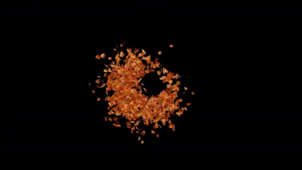 Autumn Maple Leaves Maple Leaves Metraje Alfa Movimiento Para Películas — Vídeo de stock