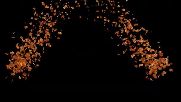 Autumn Maple Leaves Explosion Metraje Movimiento Alfa Para Películas Temporada — Vídeo de stock
