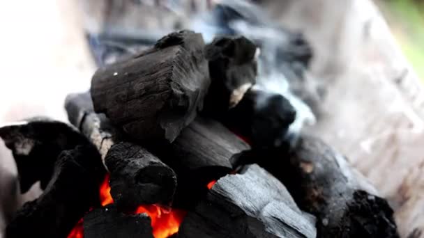 烤肉和烧烤用的炭火 在炭火之间燃烧的炭火鸡舍的景象 — 图库视频影像