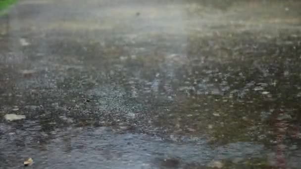 Kraftigt Regn Sommarstormen Regndag Staden Vid Sommartiden Kraftigt Regn Vägen — Stockvideo