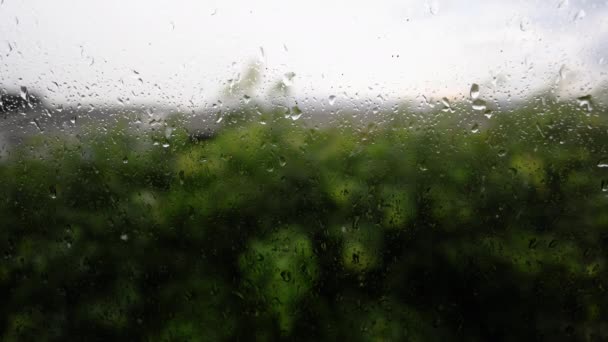 Капля Дождя Стеклянные Окна Конденсат Стекле Утром Капли Воды Стекло — стоковое видео