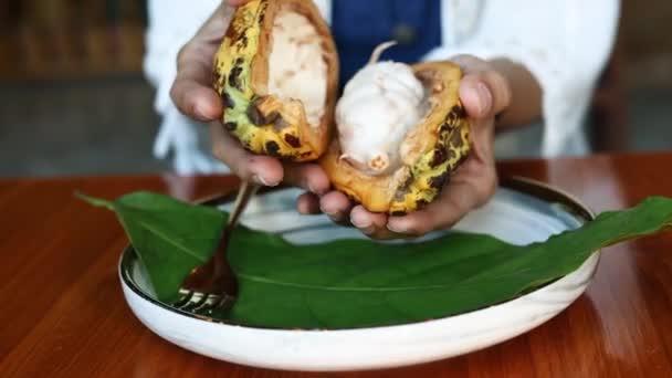 Cacao Fresco Pod Cut Exposing Seeds Fruto Cacao Cortado Por — Vídeo de stock