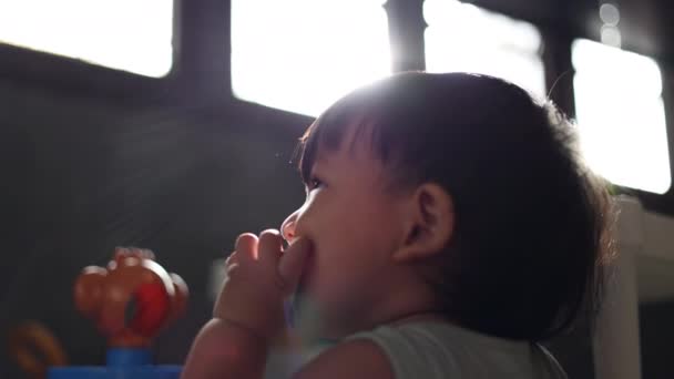 Sylwetka Azjatyckiego Dziecka Trzymającego Zabawkę Próbującego Zjeść Wkładającego Ust Siedzącego — Wideo stockowe