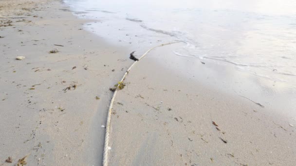 Невеликі Морські Хвилі Розбивають Піщаний Пляж Взимку Вранці Маленькі Хвилі — стокове відео