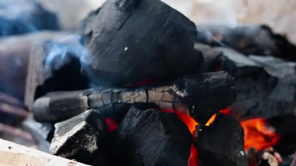 Hořící Uhlíkový Oheň Spálené Hořící Dřevo Ohni Plameny Kouř — Stock video