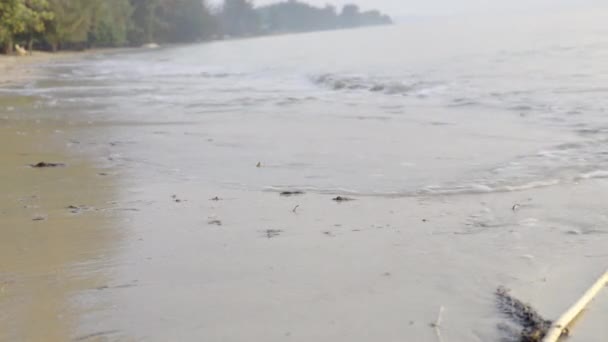 Ένα Θαλασσινό Τοπίο Εισερχόμενο Κύμα Αφρού Μια Αμμώδη Παραλία Θαλάσσιο — Αρχείο Βίντεο