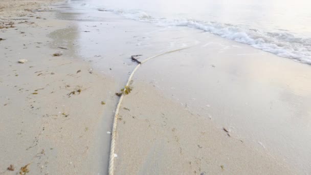 Невеликі Хвилі Пульсують Піщаному Пляжі Вранці Морський Пейзаж — стокове відео
