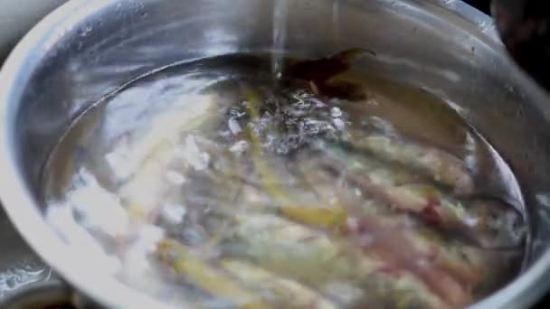 Vissen Schoonmaken Water Voor Het Koken — Stockvideo