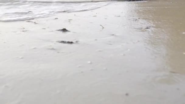 Ruhige Meereswellen Plätschern Sandstrand Meerwasser Wellen Plätschert Sandigen Strand Morgen — Stockvideo
