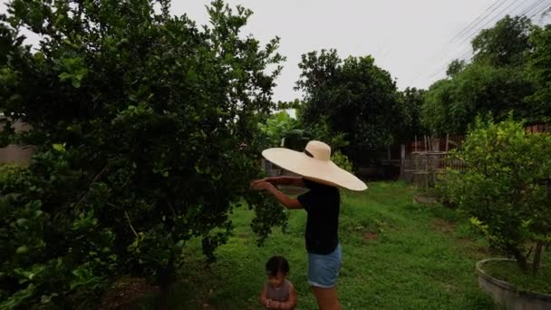 Anne Küçük Oğlu Bahçede Kaffir Limonu Topluyor Kafir Kireci Zengin — Stok video