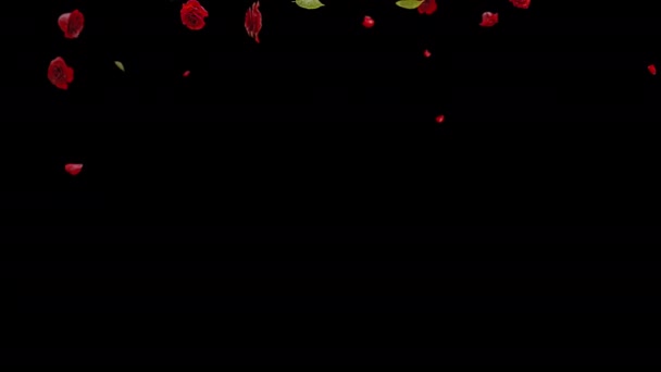 Falling Red Rose Alpha Materiał Filmowy Filmów Festiwalowych Kinematograficzny Rose — Wideo stockowe