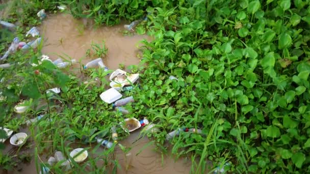 Garbage Weeds Floating Surface River Water Hyacinth Waste Floating Water — Stock Video