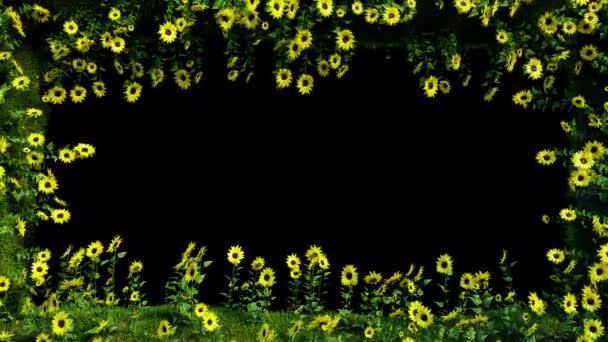 Imagens Movimento Sunflower Meadow Frame Alpha Para Filmes Sazonais Cinematográficos — Vídeo de Stock