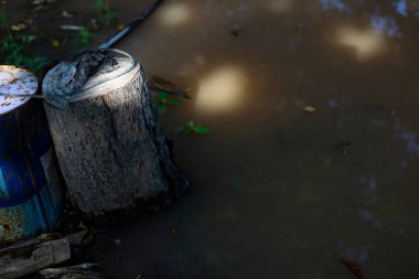 Tarlalarda ve kırsal bölgelerde su baskını. Sudaki ağaçlar.