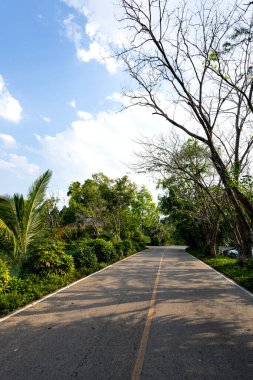 Güzel yol birçok ağaçla çevrilidir..