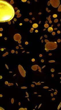 Gold Coin Alpha, borsa sahnesinde sinema ve belgesel filmleri için kullanılan bir filmdir. Sahne, başlık ve logolar için de iyi bir geçmiş..