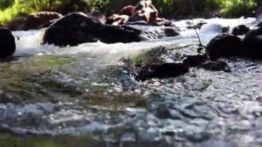 Ormandaki Güçlü Akıntı, doğa için video görüntüleri ve mevsimsel sahneler için sinematik