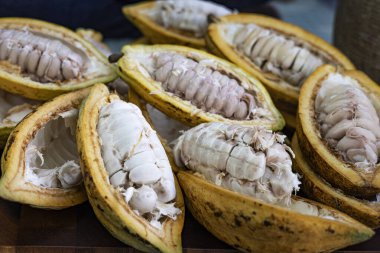 Tohumları gözler önüne sermek için yarım kakao meyvesi yemek ve hasat sahnesinde reklam ve duvar kağıdı için arka plan..