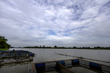 Manorom Bölgesi 'ndeki Riverside Atmosferi, Chai Nat Eyaleti, Doğal çevre ve doğa sahnesinde reklam ve duvar kağıdı için arka plan. Nehir kenarındaki balık çiftliği.