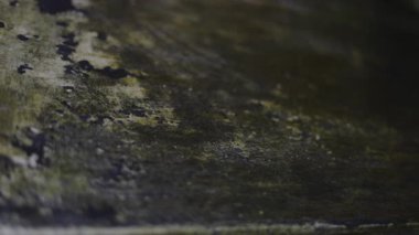 Beton zeminde Moss, Bangkok, Tayland ile kaplı su akışı, beton sahnedeki suda belgesel ve sinema için video görüntüleri.