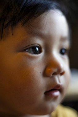 Güneydoğu Asya Bebek Yüzünün Kapanışı, Eğitim ve yaşam tarzında reklam ve duvar kağıdı geçmişi.