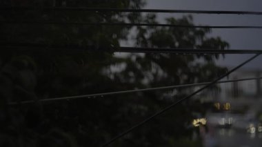 Penceredeki yağmur damlalarına, doğa için video görüntülerine ve mevsimlik sahnelere bakıyorum..