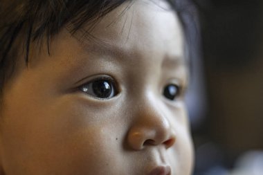 Güneydoğu Asya Bebek Yüzünün Kapanışı, Eğitim ve yaşam tarzında reklam ve duvar kağıdı geçmişi.