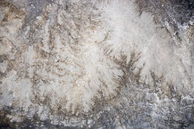 Çimento zeminindeki su lekesi, beton üzerindeki kurumuş su lekelerinin oluşturduğu eşsiz desen, grunge desen teması için ideal..