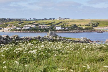 Scilly Adaları, İngiltere - Peninnis Head yakınlarındaki çayırlarda eski taş duvar, Hugh Town arka planda