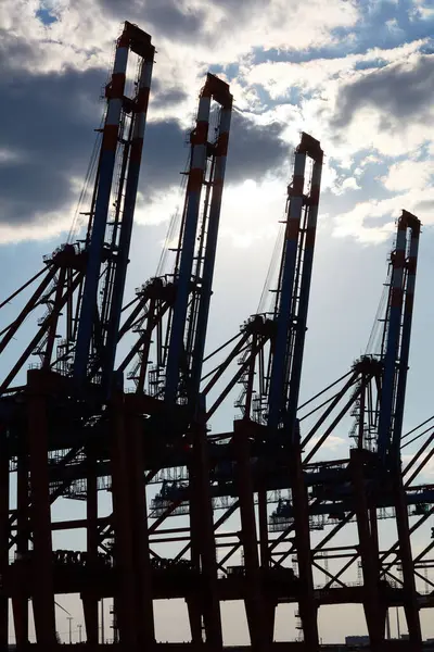 Silhouettes of harbor cranes against sky in Hamburg harbor