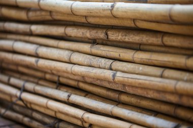 Yapı iskelesi için kullanılmış bambu gövdesi yığını
