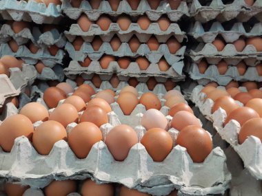 Süpermarkette satılık yumurta tepsisine taze kahverengi tavuk yumurtası yığını..