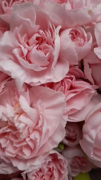 結婚式の背景のための美しい咲くピンクの花束 ペオニア属の植物に花を咲かせる バレンタインデーコンセプト — ストック動画