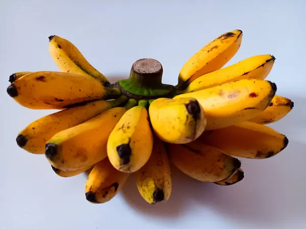 Bayan Parmak Muzları, diğer adıyla şeker muzları, incir muzları, ya da beyaz arka planda izole edilmiş muzlar..