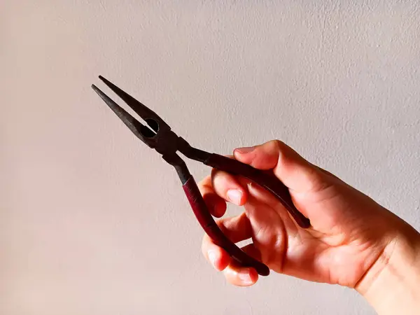 Kadının eli paslı iğne burun pensesi, nam-ı diğer kırmızı saplı uzun burun pensesi, beyaz arka planda izole edilmiş..