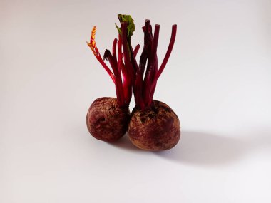 Taze ve olgun pancar veya pancar, masa pancarı, bahçe pancarı, beyaz arka planda izole edilmiş pancar..