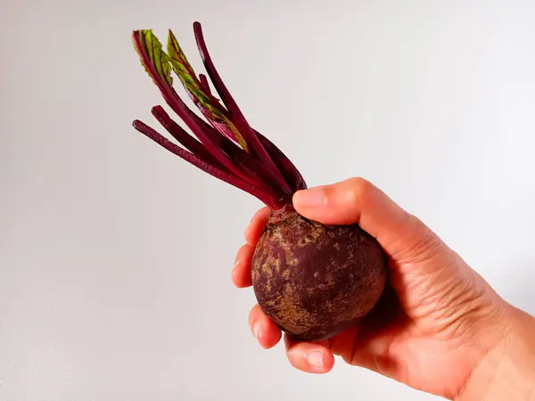 Taze pancar ya da pancar tutan kadın, pancar, bahçe pancarı, beyaz arka planda izole edilmiş pancar..